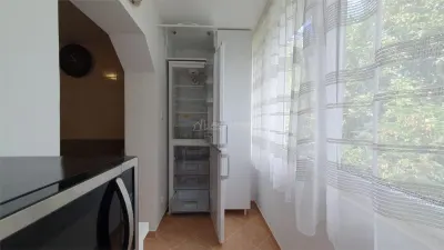 Inchiriere - Apartament 3 camere - Etaj 2 - Burdujeni - Cuza Voda 2 - foto 3